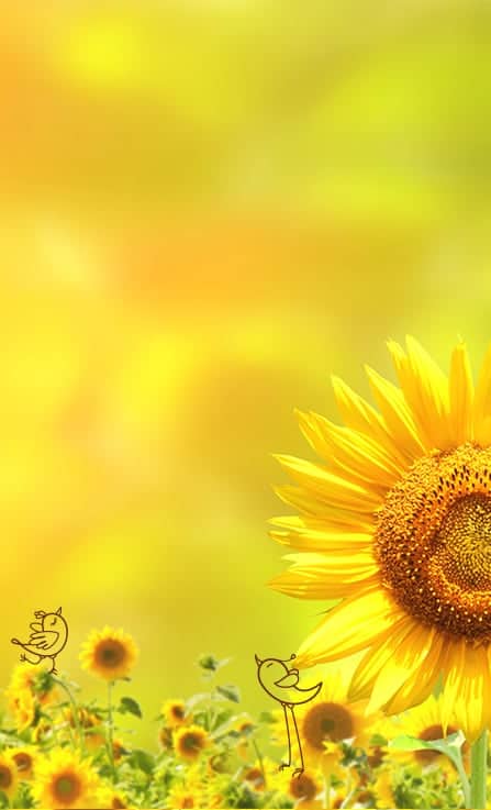 /images/stencil/original/image-manager/summer-nebula-mobile.jpg